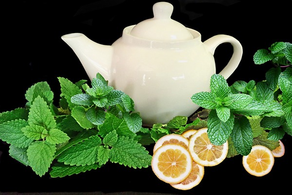 تصویر 3 از فروش دمنوش نعناع دشتی + قیمت خرید به صرفه